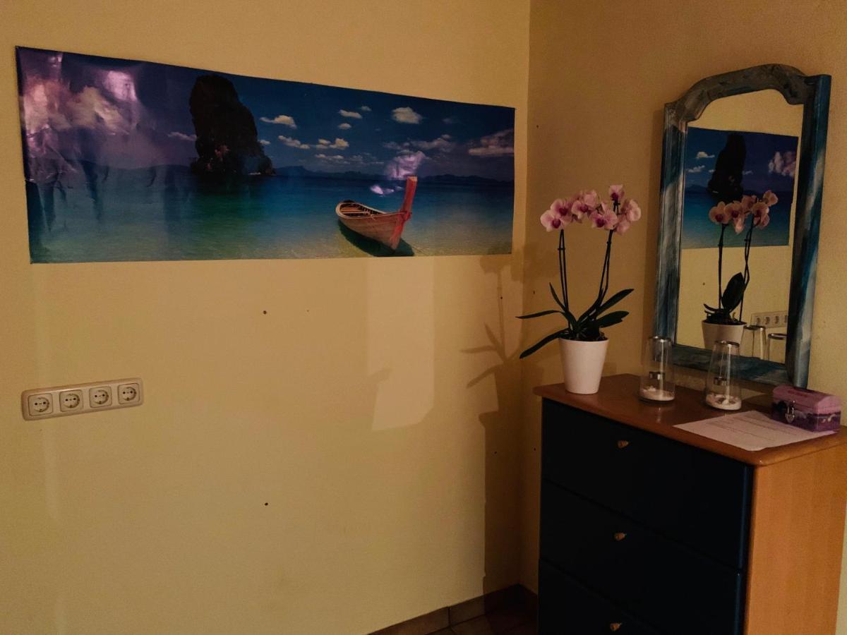 Maja Ferienwohnung Goddelsheim Luaran gambar